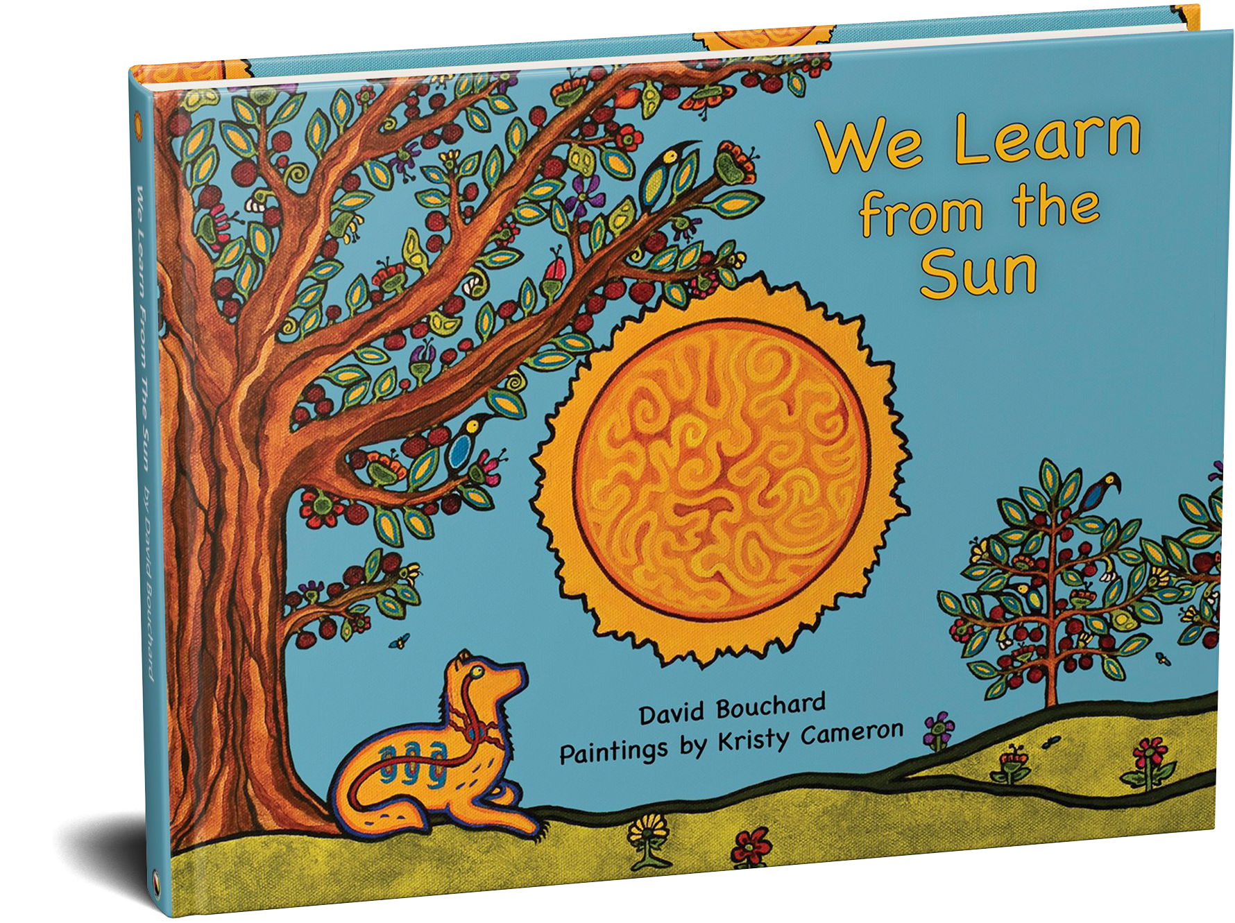 We Learn From The Sun Book